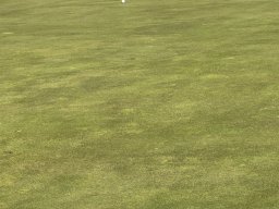 238-13-01-2026 IMG_3434